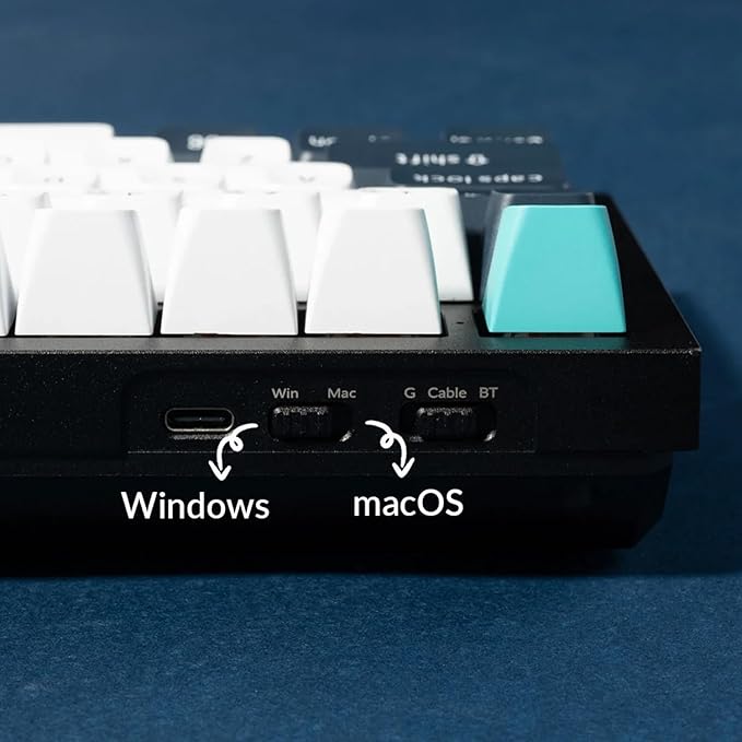 Keychron Q6 Max 100% Full-Size Layout Custom Wireless Mechanical Keyboard with Knob, QMK/VIA Programmable 1000Hz 2.4 GHz/Bluetooth/Wired RGB Backlit for Mac Windows, Gateron Brown Switch-Carbon Black