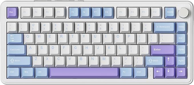 YINDIAO X85 Wireless Mechanical Keyboard, TKL 82 Keys Bluetooth 5.0/2.4GHz/USB-C Hot Swappable Custon Keyboard, Knob Control, Gasket Structure, RGB Backlit Gaming Keyboard for PC/Mac/PS4/Xbox (Purple)
