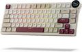 RK ROYAL KLUDGE N80 Low Profile Mechanical Keyboard w/Smart Display Screen & Knob, 75% Top Mount 3-Modes Wireless Mechanical Keyboard, Software Support, Massive Battery, 80 Keys, Quiet Red Switch