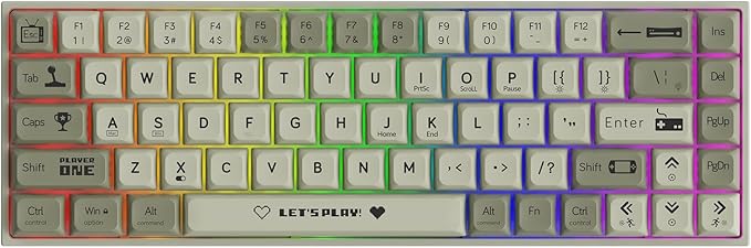 AK680 Wired Compact Mechanical Keyboard, 68 Keys Grey-White Layout, Hot-Swappable Tactile Brown Switch Gaming Keyboard with Multicolor Backlight, Eva Foam Dampening, for Gaming & Typing
