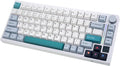 GK GAMAKAY TK75 V2 75% Silent Mechanical Keyboard with TFT Screen, Hot Swap RGB Bluetooth 5.0/2.4GHz Wireless/USB-C Wired PBT Cherry Profile Keycaps Gaming Keyboard (GamaKay Phoenix Switch)