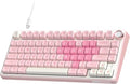 RK ROYAL KLUDGE R75 Mechanical Keyboard Wired with Volume Knob, 75% Keyboard Gasket Mounted, Hot Swappable, Creamy Sound, MDA Profile, PBT Keycaps, Pink