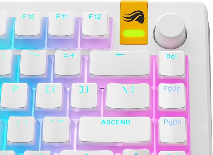 Glorious Gaming - GPBT Aura RGB Keycaps (White): Pudding Style Keycaps, Double Shot PBT, Translucent Design, Fits 100%, 75%, 65%, 60% Mechanical Keyboards, Fits ANSI, ISO, Windows & macOS