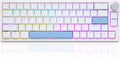 BOYI 66Pro Rapid Trigger Magnetic Switch 65% Mechanical Keyboard,Hall Effect Gasket-Mounted RGB HotSwap Hyper-Fast Adjustable Actuation Wired Compact Gaming Keyboard with Knob(White)
