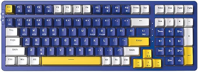 Qisan Wireless/Wired Mechanical Gaming Keyboard, Triple Mode 2.4G/USB-C/BT (98%) Wireless Mechanical Keyboard with US Layout | Brown Switch Rechargeable RGB Backlit Keyboards for Gaming, Blue & White