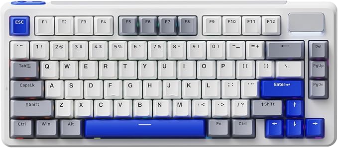 Rapoo V700DIY-75 Wireless Mechanical Keyboard, BT5.0 + 2.4GHz, Hot Swappable Custom Gaming Keyboard, Speed Silver Linear Switch, 16.8M Per-Key RGB, Gasket Mount, Creamy Sound, Full NKRO Anti-Ghosting