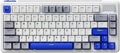 Rapoo V700DIY-75 Wireless Mechanical Keyboard, BT5.0 + 2.4GHz, Hot Swappable Custom Gaming Keyboard, Speed Silver Linear Switch, 16.8M Per-Key RGB, Gasket Mount, Creamy Sound, Full NKRO Anti-Ghosting