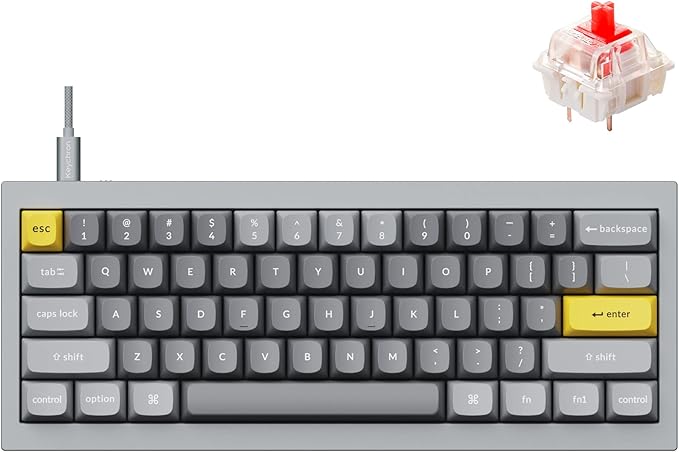 Keychron Q4 Wired Custom Mechanical Keyboard, QMK/VIA Programmable Macro, Full Aluminum, Hot-Swappable Gateron G Pro Red Switch, 60% Layout Double Gasket Compatible with Mac and Windows - Blue