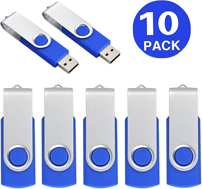 Aiibe 10 Pack 4GB Flash Drive USB Flash Drive Thumb Drives USB 2.0 Memory Stick Wholesale/Lot/Bulk (4GB, 10 Pack, Blue)