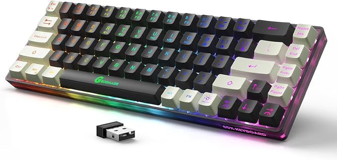GEODMAER 65% Wireless Gaming Keyboard: LED Backlit, 68 Keys, Ultra-Compact, Anti-ghosting, No-Conflict Wireless Keyboard for PC Laptop Windows Gamer(Black-White)