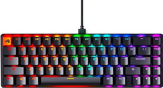 GLORIOUS Gaming GMMK 2 - TKL Mechanical Keyboard - Custom 65% Keyboard - Compact -Hotswap w/Cherry Mx Style Switches - Incl. Double Shot Keycaps & Linear Switches - PC Gaming Setup Accessories