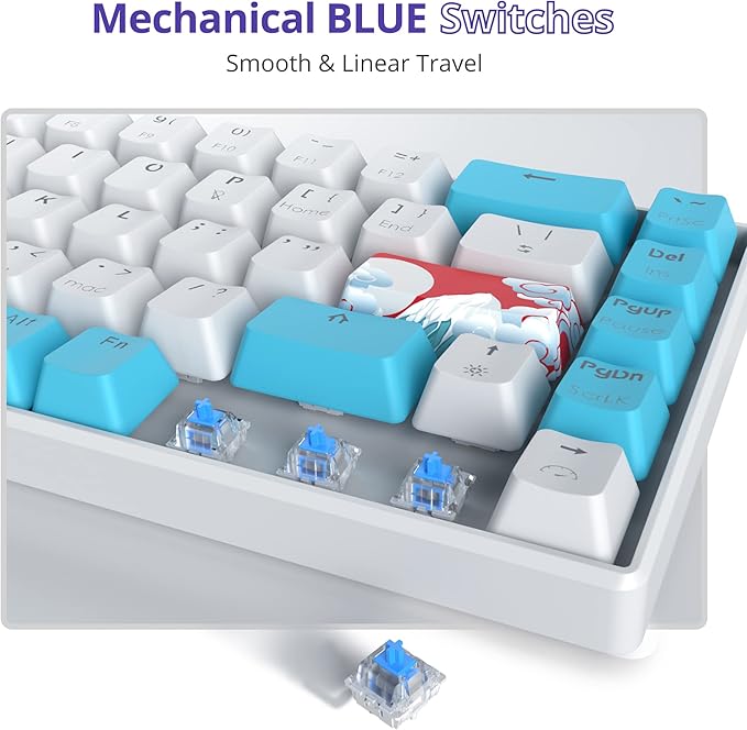 Owpkeenthy Wired 65% Mechanical Gaming Keyboard with Blue Switch 60% Ultra Compact RGB Gaming Keyboard Backlit Keys N-Key Rollover for PC PS5 Xbox(Blue/ 68 Blue Switch)