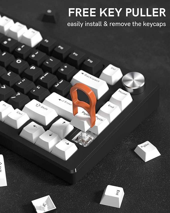 Womier Double Shot PBT Keycaps Set 138 Keys, Cherry Profile Custom Keycaps 60 65 75 100 Percent for 61/64/68/84/87/100/104/108 Retro Gaming Mechanical Keyboard, Black White