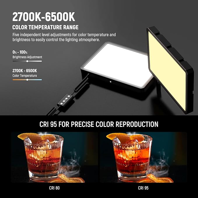 NEEWER Basics 2Pcs LED Video Light Panel with 59'' Tripod Stands/Phone Holders, 2700-6500K 850Lux Dimmable Plastic Studio Lighting for Photography Filming Recording Live Streaming, No Adapter, BP300
