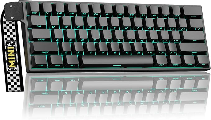 Aula MINI60 HE PRO Wireless Gaming Keyboard 60%,Hall Effect Rapid Trigger Magnetic Keyboard,8000Hz Polling,Tri-Mode(BT5.0/2.4GHz/USB-C),RGB Hot Swappable Compact Mechanical Keyboard for Gamer(Black)