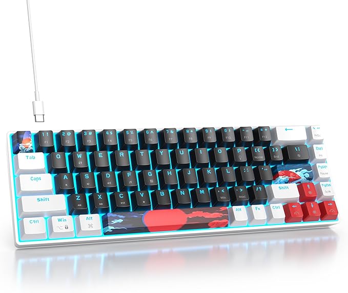 Protable 60% Percent Gaming Keyboard Mechanical, Mini Compact Ice-Blue LED Backlit 68 Keys Wired Office Keyboard with Red Switch for Mac/Win/PS4/PS5(68Black/red Switch)