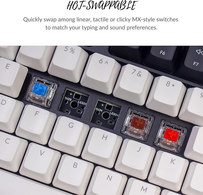 Keychron C1 Wired Mechanical Keyboard TKL, RGB Backlit with Double-Shot ABS Keycaps, 87 Keys Hot-Swappable Pre-lubed Tactile Switch Compatible with Mac Windows