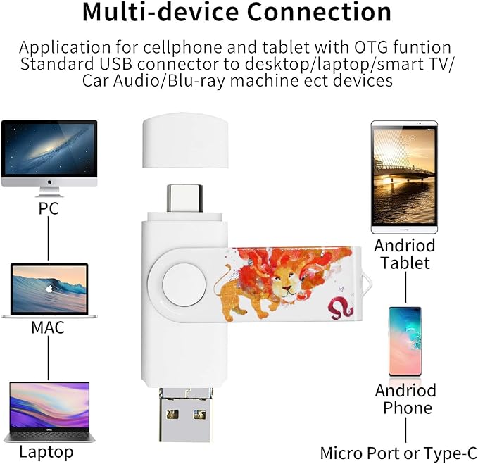 3.1 256GB 3 in1 High Speed Photo Backup Flash Drive for iPhone 15/16/17 wtih Type C/USB-C Port,Photo-Stick-for Android Phones with OTG Function
