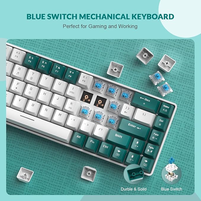 ZIYOU LANG RK-T8 Wired 65% Mechanical Gaming Keyboard with RGB LED Backlit Anti-ghosting TKL Mini 68 Key Custom Coiled C to A Cable Tactile Blue Switch for PS4 PS5 Xbox PC Mac Gamer(Green/White)