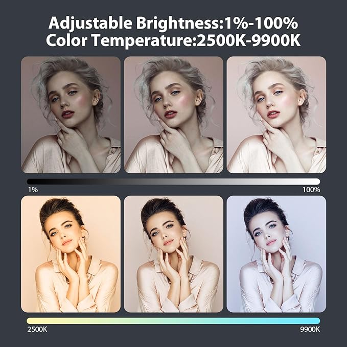 ENEGON 4000mAh Rechargeable Mountable Bicolor LED Video Light with Mini Panel for Professional DSLR Cameras | Photo Video Lighting Long Battery Life | Fits for iPhone Sony Canon Nikon Fuji Panasonic