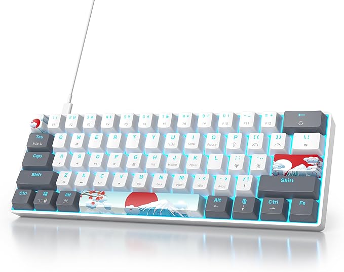 Owpkeenthy RGB Mechanical Keyboard 60 Percent Red Switches, Ultra-Compact Mini Wired Gaming Keybaord with Backlit PBT Dye-Sub Keycaps for Win/Mac/PC (White/Red Switch)