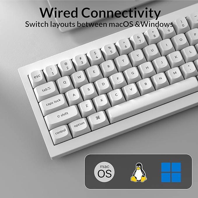 Keychron Q4 Wired Custom Mechanical Keyboard, QMK/VIA Programmable Macro, Full Aluminum, Hot-Swappable Gateron G Pro Red Switch, 60% Layout Double Gasket Compatible with Mac and Windows - White