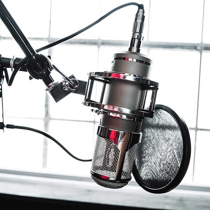 Lauten Audio Eden LT-386 Large-Diaphragm Condenser Microphone
