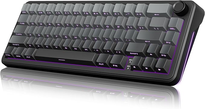 RedThunder K65 Wireless Mechanical Gaming Keyboard, Trip-Modes Connection, Gasket Custom Hot-Swap Keyboard, RGB Backlit, Pre-lubed Linear Switches, Side Engraved PBT Keycaps, Gradient Gray