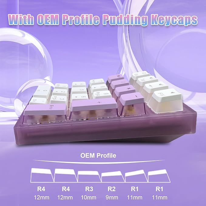 BOYI TD21 HotSwap Mechanical Numeric Keypads,21 Keys Mini Numpad Portable Keypad BT5.0/2.4G/Wired Keyboard RGB Number Pad Wireless Numeric Keypad(Purple Color with OEM Profile Pudding Keycaps)