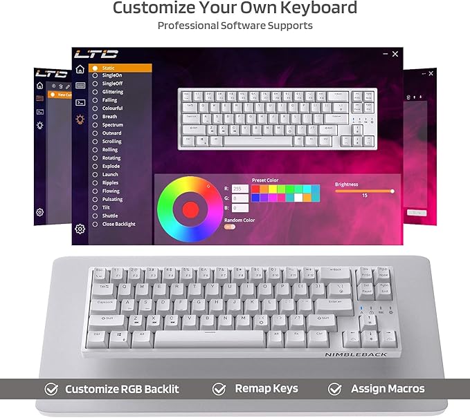 LTC NB681 Nimbleback Wired 65% Mechanical Keyboard, RGB Backlit Ultra-Compact 68 Keys Gaming Keyboard with Hot-Swappable Switch and Stand-Alone Arrow/Control Keys (Hot Swappable Blue Switch, White)
