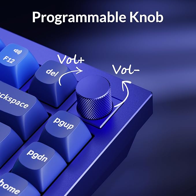 Keychron Q1 RGB Wired Custom Mechanical Keyboard, 75% Layout QMK/VIA Programmable Macro with Hot-swappable Gateron G Pro Blue Switch Double Gasket Compatible with Mac Windows Linux (Blue) -Version 2