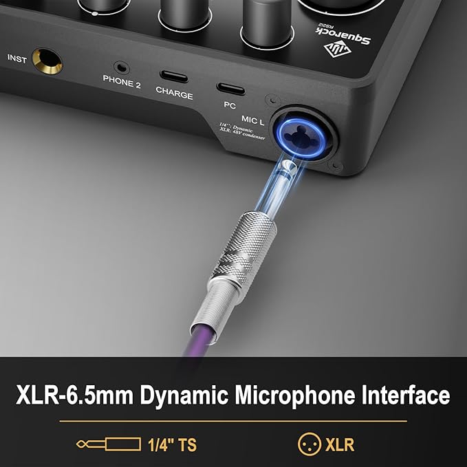 Podcast Equipment Bundle for 2, with XLR Dynamic Microphone, TF card, 5RGB,Surround Sound,Suitable for Live Streaming/TikTok/YouTube, Compatible with iOS,Android,PC,Camera RS2
