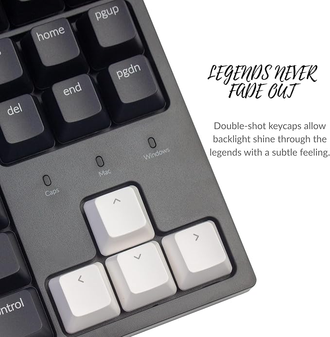 Keychron C1 Wired Mechanical Keyboard TKL, RGB Backlit with Double-Shot ABS Keycaps, 87 Keys Hot-Swappable Pre-lubed Tactile Switch Compatible with Mac Windows
