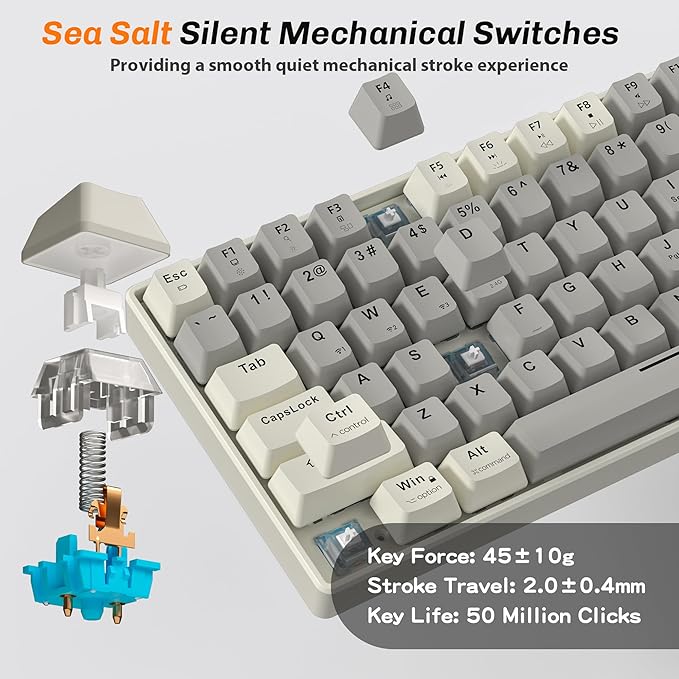 Taiahiro Wireless Mechanical Keyboard, 100-Key 96% Layout Gaming Keyboard, Hot-Swappable Silent Linear Switches, Tri-Mode BT/2.4G/USB-C, LED Backlit, 3000mAh Battery for Windows and Mac (Creamy Gray)