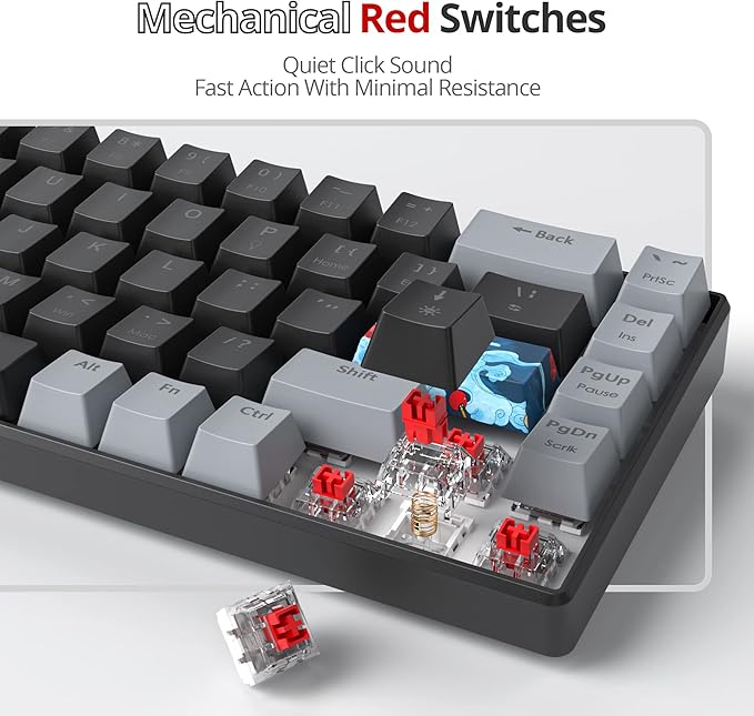 Owpkeenthy Portable 65% Percent Mechanical Gaming Keyboard, Mini Wired Ultra Compact RGB 68 Keys Office Keyboard with Red Switch Backlit for PC/PS5/XBOX(Dark/ 68 Red Switch)
