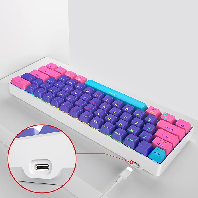 Protable 60% Percent Gaming Keyboard Mechanical, Mini Compact RGB Backlit 61 Keys Wired Office Keyboard with red Switch for Mac/Win (Purple/red Switch)