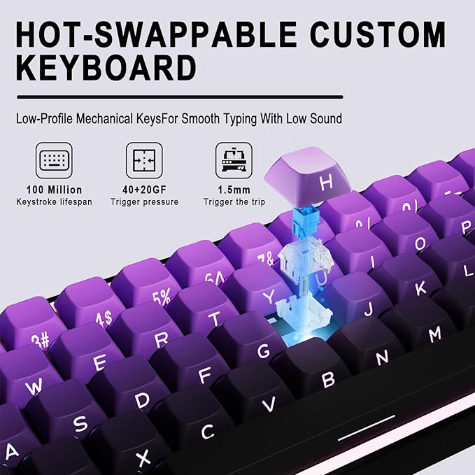 Mechanical Gaming Keyboard 65% Wired, Magnetic Switch Hot Swappable RGB Backlit, 68-Key Compact Mini Keyboard with Blue Switch, Detachable USB-C Cable for PC Mac Gamer