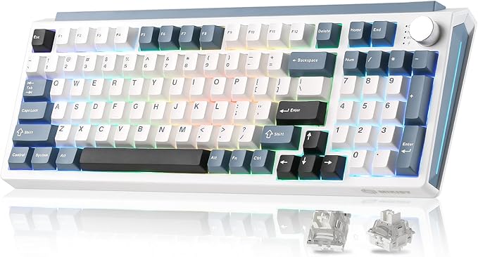K98 Wireless Mechanical Keyboard,Tri-Mode BT5.0/2.4GHz/USB-C Hot Swappable Custom Keyboard,Gasket Structure,RGB Backlit Gaming Keyboard for Win & Mac(White&Blue,Milk-V2 Switch)