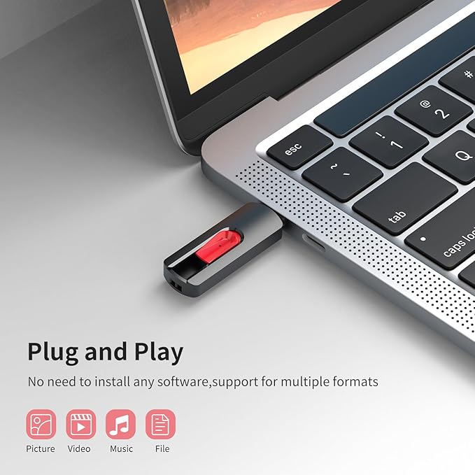 RAOYI 10Pcs 4GB USB Flash Drives Slide Retractable Memory Stick Bulk USB 2.0 Thumb Drive Jump Drive Zip Drive USB Sticks Data Storage Backup for PC Mac (4G, Red)