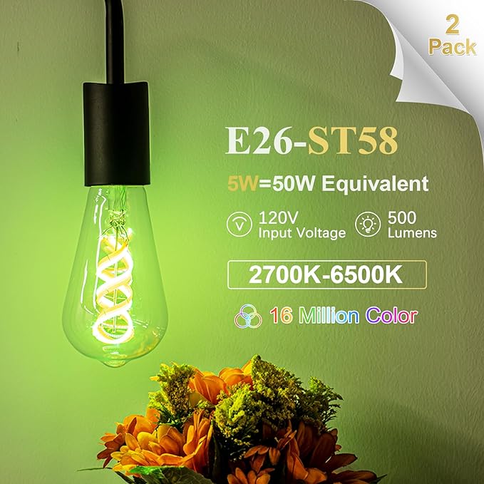DiCUNO Smart Edison Bulbs ST19, Color Changing WiFi Smart Light Bulb, 2700K-6500K Tunable via App, ST58 Edison Bulb, Compatible with Alexa & Google Home, 5W (50 Watt Equivalent), 500lm, 2-Pack