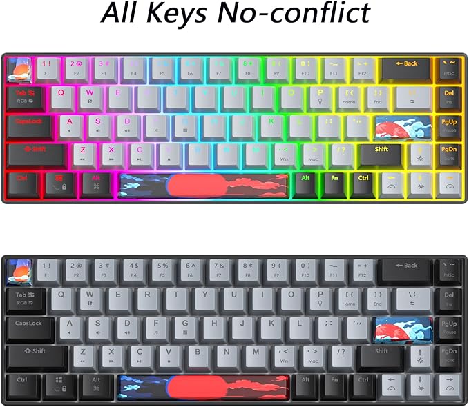 Protable 60% Percent Gaming Keyboard Mechanical, Mini Compact RGB Backlit 68 Keys Wired Office Keyboard with Red Switch for Mac/Win (Dolch/red Switch 68)