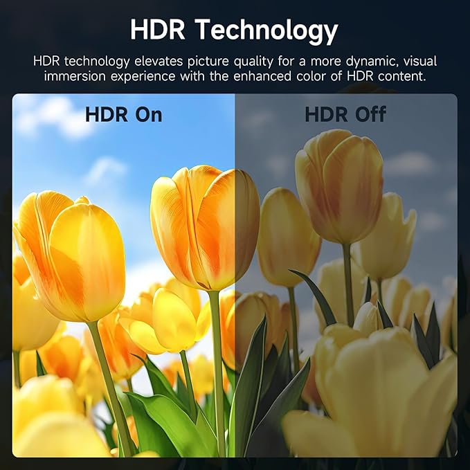 AYY Portable Monitor 18.5 Inch 100Hz 100% sRGB,1080P FHD IPS Large Portable Monitor with Kickstand,for Laptop HDMI HDR USB C Mac PC Xbox PS4/5 Switch