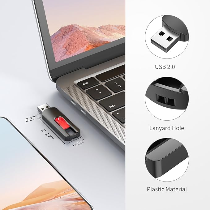 RAOYI 10Pcs 4GB USB Flash Drives Slide Retractable Memory Stick Bulk USB 2.0 Thumb Drive Jump Drive Zip Drive USB Sticks Data Storage Backup for PC Mac (4G, Red)