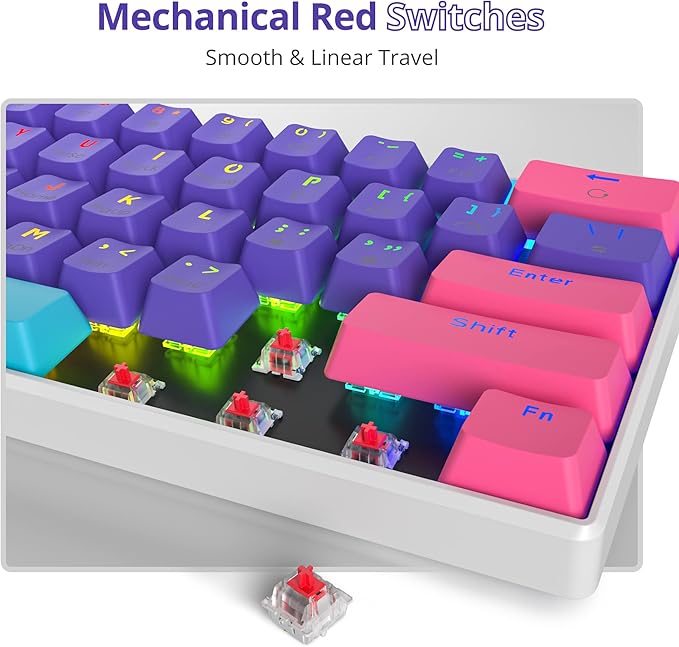Protable 60% Percent Gaming Keyboard Mechanical, Mini Compact RGB Backlit 61 Keys Wired Office Keyboard with red Switch for Mac/Win (Purple/red Switch)