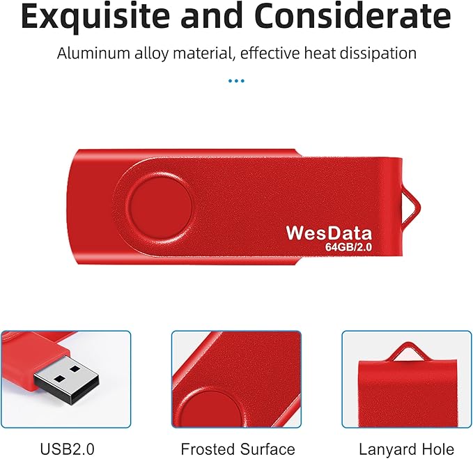 2 Pack 64GB USB 2.0 Flash Drive and 1 USB C Adapter, Thumb Drive USB Memory Stick Jump Drive, Compatible with OTG Type C Phones, Tablets, Laptop, PC (Blue, Red)