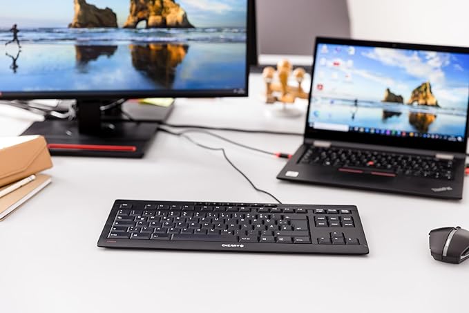 Cherry Stream Keyboard TKL, Wired Keyboard Without Number Pad, Whisper Quiet Keys, Unique Typing Feel, Slim Design, SX Scissor Switches, QWERTY, White-Gray