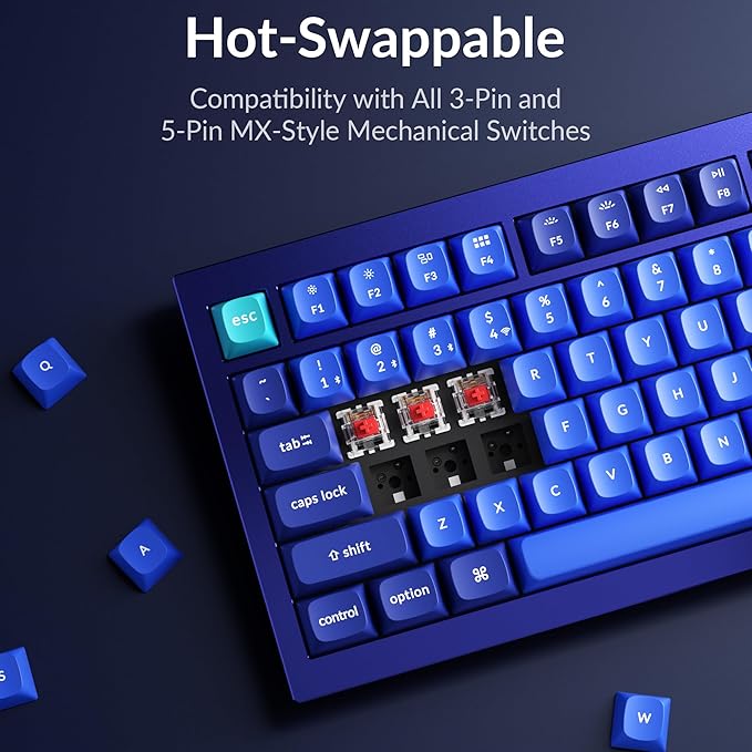 Keychron Q1 RGB Wired Custom Mechanical Keyboard, 75% Layout RGB Backlight with Hot-swappable Gateron G Pro Red Switch Double Gasket Compatible with Mac Windows Linux (Blue) -Version 2