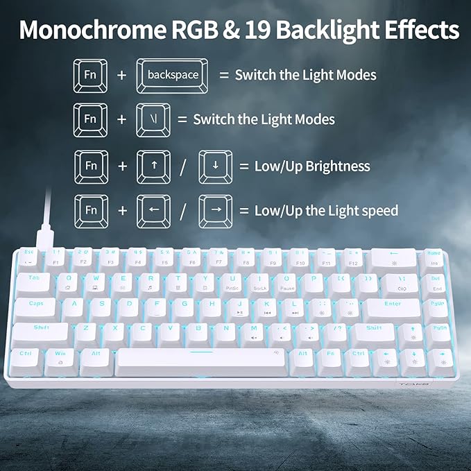 DIERYA T68SE 60% Gaming Mechanical Keyboard,Ultra Compact Mini 68 Key with Brown Switch Wired Keyboard,Anti-Ghosting Keys, for Windows Laptops and PC Gamers,White