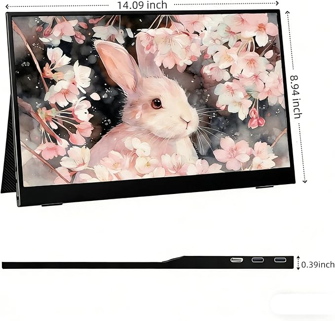 15.6-inch 4K Portable Monitor, 3840×2160 Ultra HD IPS Computer Display, 100% sRGB HDR Graphics Monitor, USB-C Port, Compatible with PS4/PS3/Xbox One/Switch and Other Devices