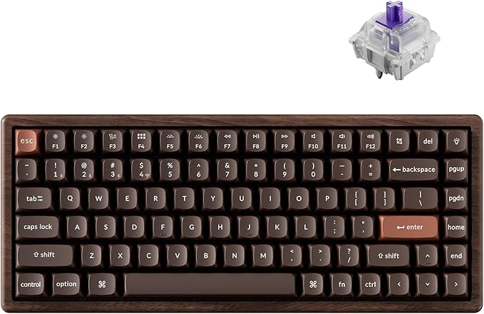 Keychron K2 HE Rapid Trigger Wireless (2.4 GHz & Bluetooth) QMK Custom Keyboard with Hall Effect Gateron Double-Rail Magnetic Switch RGB Compatible with Mac Windows Linux (All-Wood)